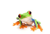 Webdesign-Sch&ouml;berl