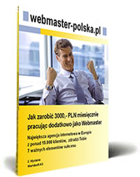Webmaster-polska raport