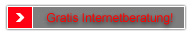 Internetberatung