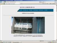 Leu Bau & Immobilien AG