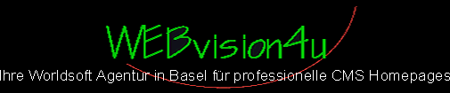 WEBvision4u - Ihre Worldsoft Agentur in Basel f�r professionelle CMS Homepages