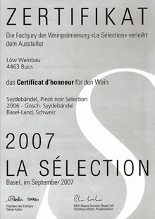 la s�lection 2007 syydeb�ndel
