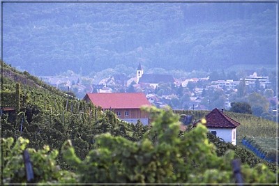 Blick auf Aesch, Baselland