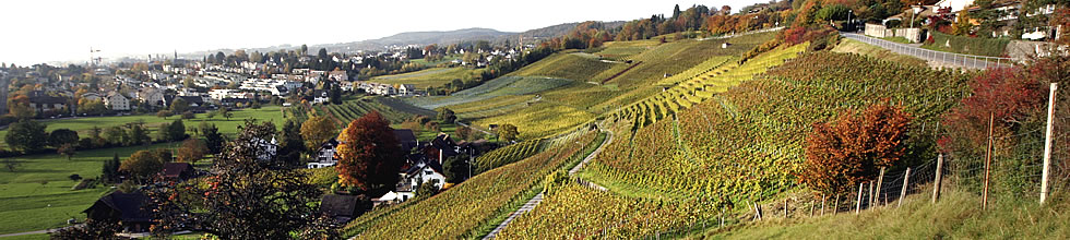 Weingut Lattenberg St&auml;fa