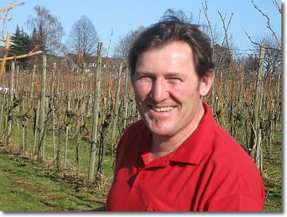 Reinhard Marte bei der Pflege der Weinreben