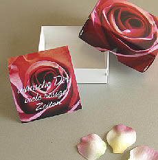 weinschenk.ch - SYMBOX "Rose"