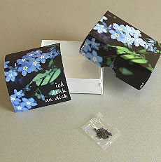 weinschenk.ch - SYMBOX "Blumen"