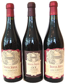 Weinhaus Zollikofen - Amarone Santa Sofia (Detailansicht)
