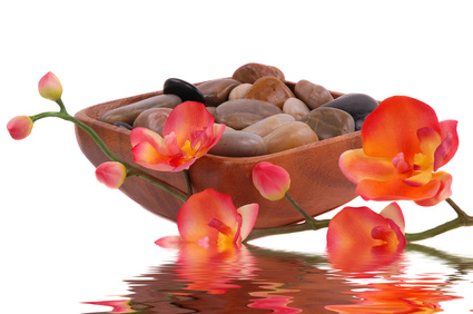 wellness-studio