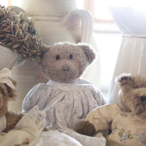 Teddy