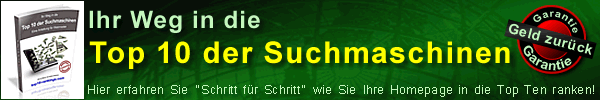 Ihr Weg zu den TOP 10 bei den Suchmaschinen
