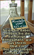 Lohnbrennen