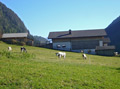 Wieserhof