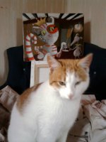 Chat et son modèle ! Chat et son modèle !