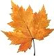 weinherbst
