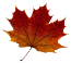 weinherbst
