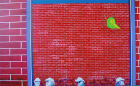 NR.44: BIRCH LANE CHILL alias SELFDECEIVING '05