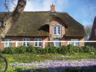 Wollkistegarten