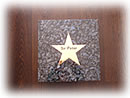 Verwndungsmoeglichkeit von World of Star