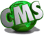 Website CMS Logo von Worldsoft