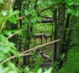 parcours201039.jpg