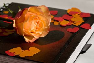 Geschenketipp von liebessprüche.eu: ein erotisches Buch über die Liebe the Book of Love - Büchertipps als Geschenktipp (nicht nur) zum Valentinstag - gesammelt von liebessprüche.eu