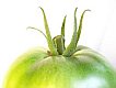 Filmzitat aus dem Liebesfilm "Gr&uuml;ne Tomaten" -  ausgew&auml;hlt von www.liebesspr&uuml;che.eu