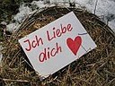 Ostergr&uuml;&szlig;e im Nest mit Ich liebe dich Spruch - Oster Spr&uuml;che, Frohe Ostern Spr&uuml;che
