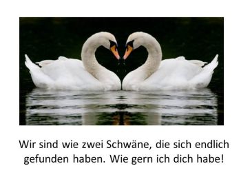hab dich gern Sprüche - Zwei Schwäne - schöne Liebessprüche