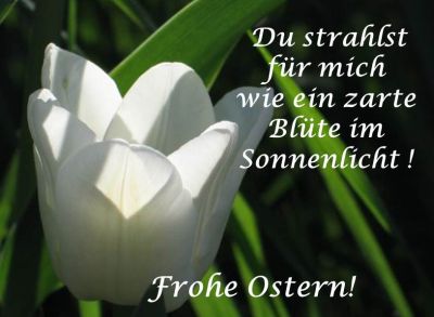 kostenlose Ostergrüße - weiße zarte Blüte- liebes Osterspruch