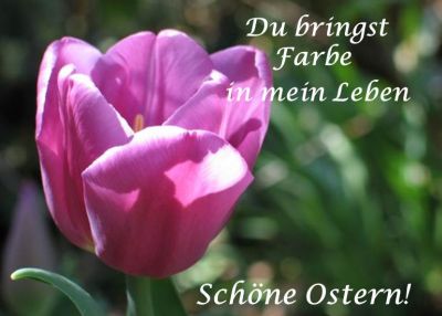 Frohe Ostern Sprüche - du bringst Farbe in mein Leben - Ostergrüße online