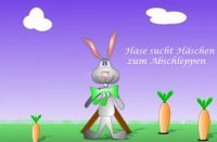 cooler Osterspruch oder Ostergruß - Hase sucht Häschen