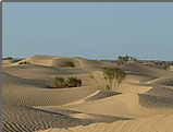 Mama Sahara Wüstentouren