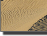 Mama Sahara Wüstentouren
