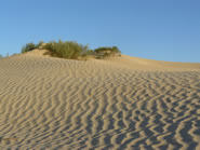 Sahara W&uuml;stentouren, Die W&uuml;ste erleben