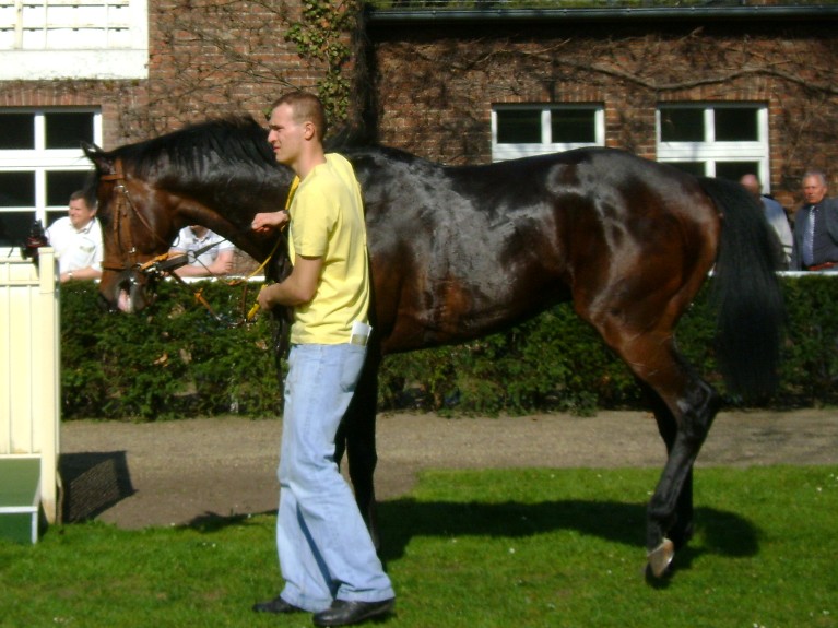 Readyspice nach dem Sieg