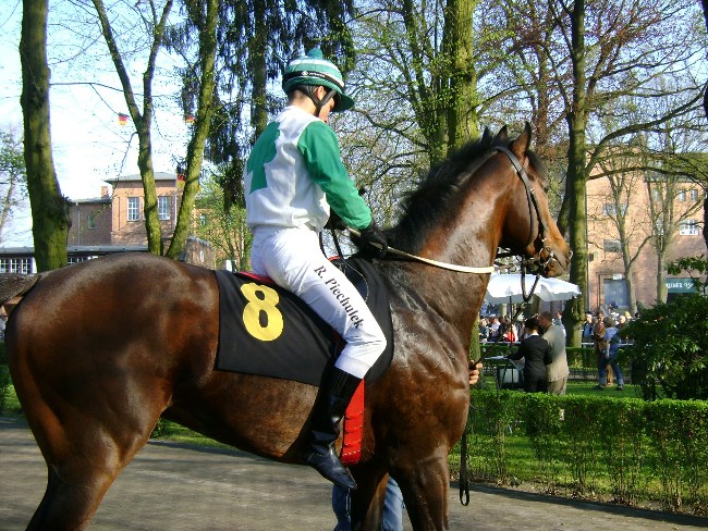 Ruby express mit R.Pichulek
