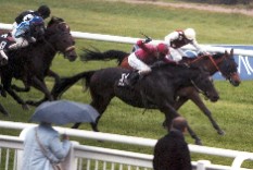 Readyspice nach dem Sieg