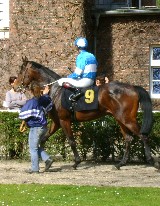Winzertraum