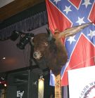 The buffalo