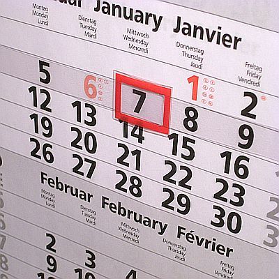 2- Ansprechpartner f�r Organisation: