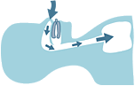 TAP� Schiene