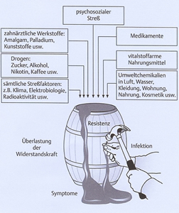 Für das Verständnis hierfür gut geeignet ist das „Fassmodell“ nach Dr. Karl-Heiz Graf: