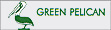 Green Pelican - Heidi Zimmermann