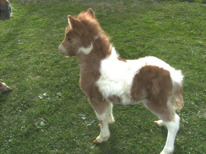 bild2847.jpg bild2847.jpg