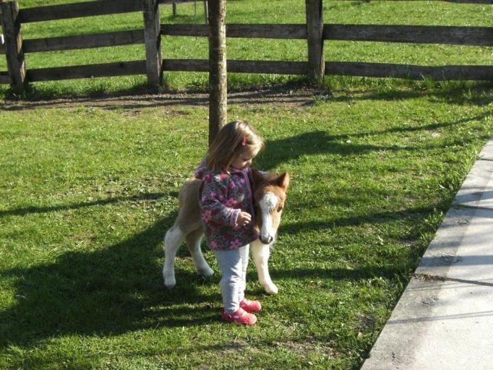 knut mit emelie (3).jpg knut mit emelie (3).jpg