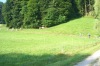 CIMG9087.JPG