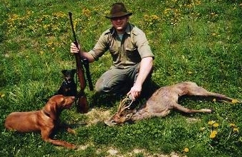 jagderfolg, bockjagd,