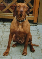 anika vom jacklberg