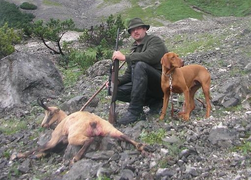 jagderfolg in der steiermark, gamsjagd